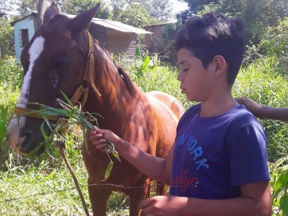 Un gesto, un caballo y sueño cumplido para un niño no vidente de 11 años Un gesto, un caballo y sueño cumplido para un niño no vidente de 11 años