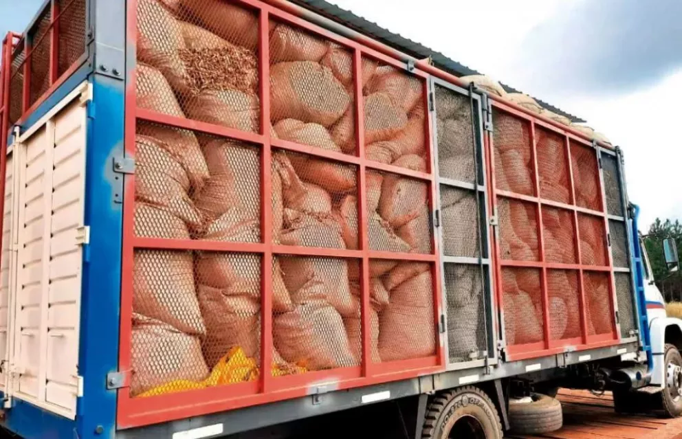 El Inym detectó e inutilizó otros 60.000 kilos de palitos de yerba