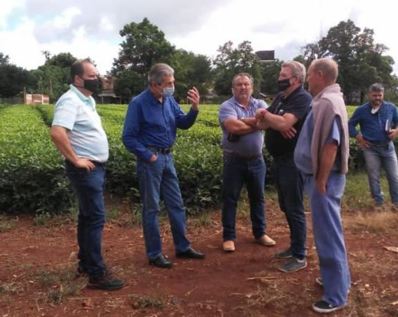 Campo Ramón: avanzan gestiones para conexión de agua potable en el kilómetro 11 Campo Ramón: avanzan gestiones para conexión de agua potable en el kilómetro 11