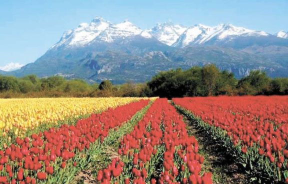 Turismo pospandemia: destinos emergentes y poco frecuentados Turismo pospandemia: destinos emergentes y poco frecuentados