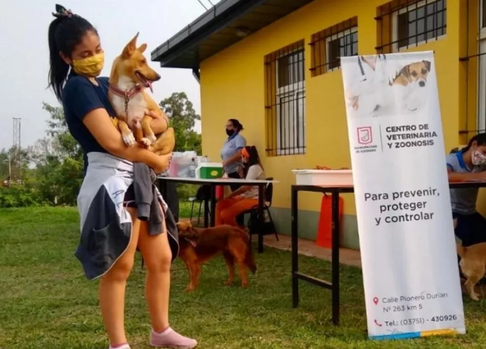 El Centro de Zoonosis de Eldorado vacunó a más de 8500 mascotas
