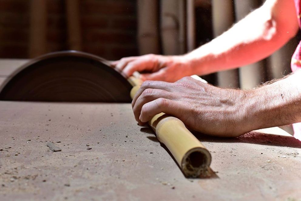 Versatilidad, nobleza y potencialidad infinita | EL TERRITORIO noticias