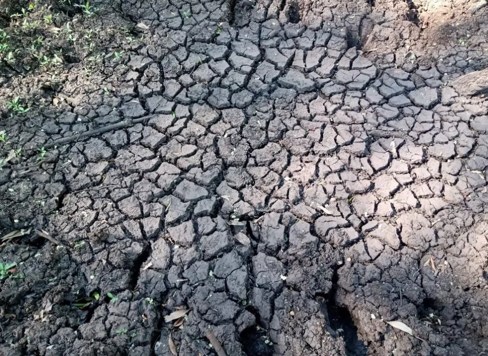 Municipios en alerta ante la sequía y el faltante de agua 