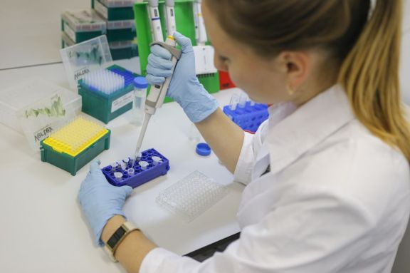 Otras 251 muertes y 11.163 contagios, mientras anuncian buenos resultados en tratamiento con plama Otras 251 muertes y 11.163 contagios, mientras anuncian buenos resultados en tratamiento con plama