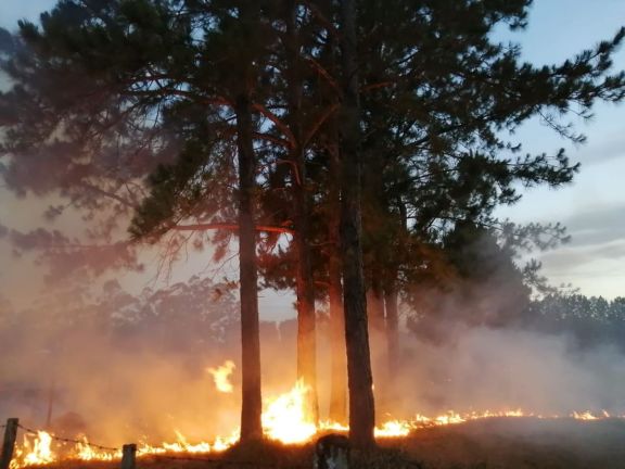 Los autódromos de Posadas y Apóstoles sufrieron sendos incendios Los autódromos de Posadas y Apóstoles sufrieron sendos incendios