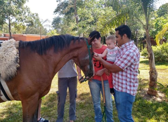 La equinoterapia como una herramienta para los niños para enfrentar la pandemia La equinoterapia como una herramienta para los niños para enfrentar la pandemia