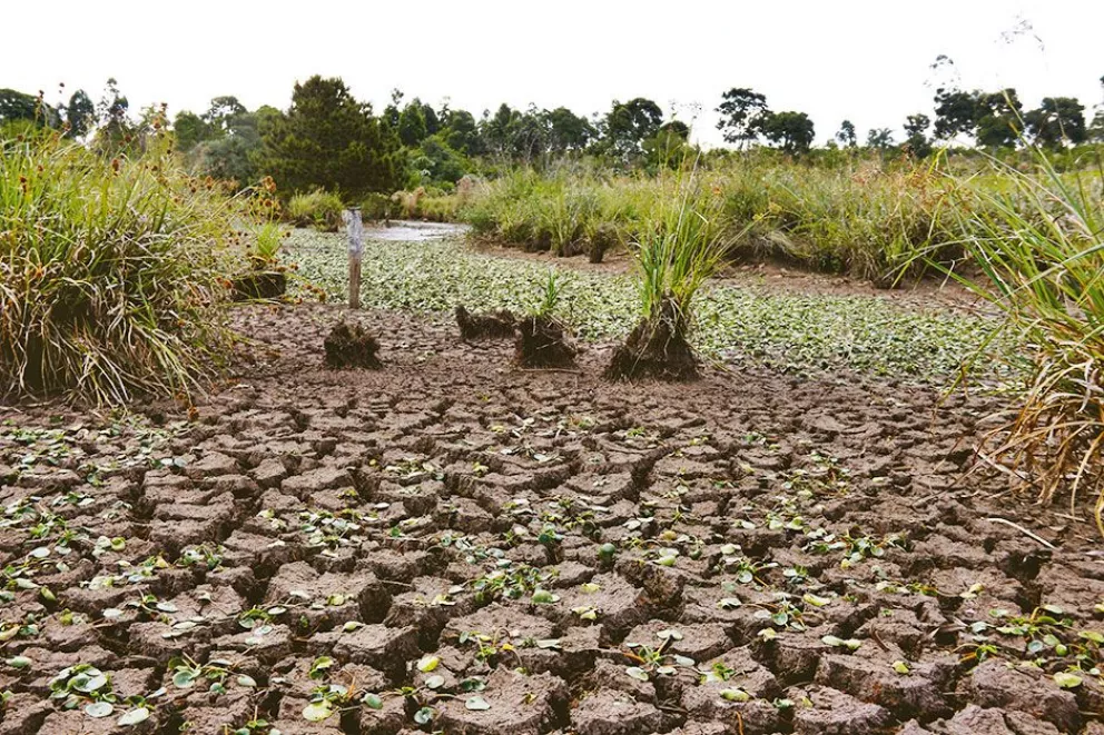 La escasez de agua se agrava y afecta a más municipios misioneros