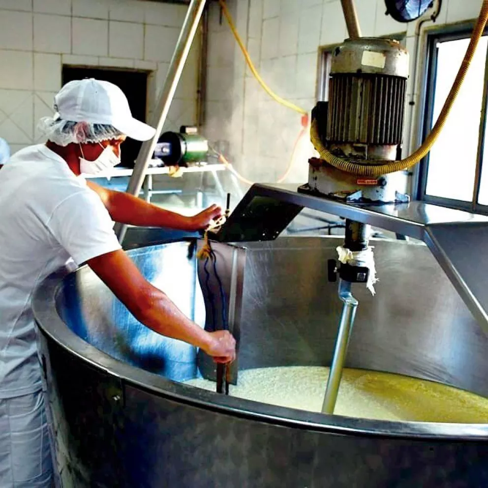 Crece la producción industrial de quesos en la zona Norte 