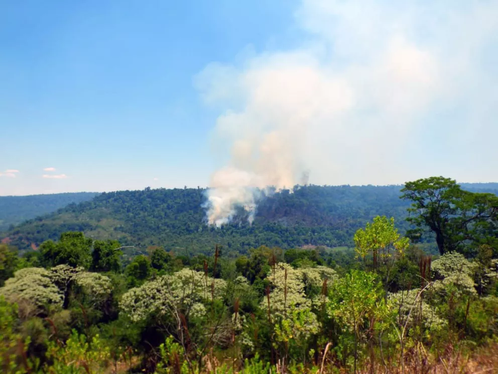 Incendio en Yabotí: con más de 25 hectáreas consumidas, llegó la intervención del avión hidrante