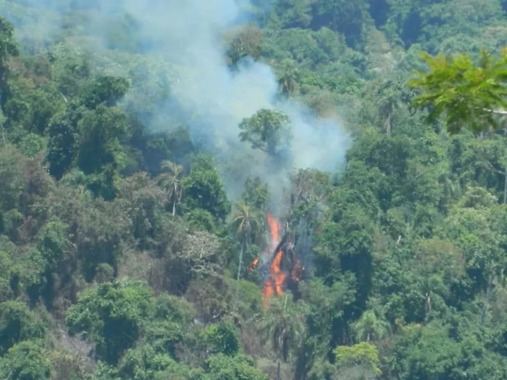 En Reserva Biosfera Yabotí ya se quemaron más de 200 hectáreas