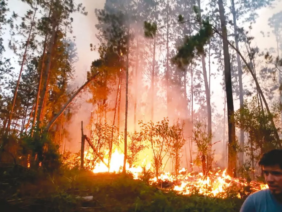 Los incendios forestales crecen y se teme que afecten viviendas
