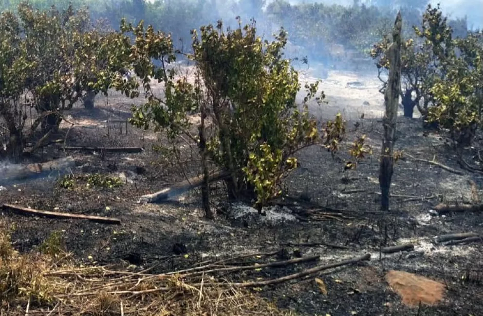 La lluvia trajo alivio pero las pérdidas son enormes en zonas rurales afectadas por el fuego