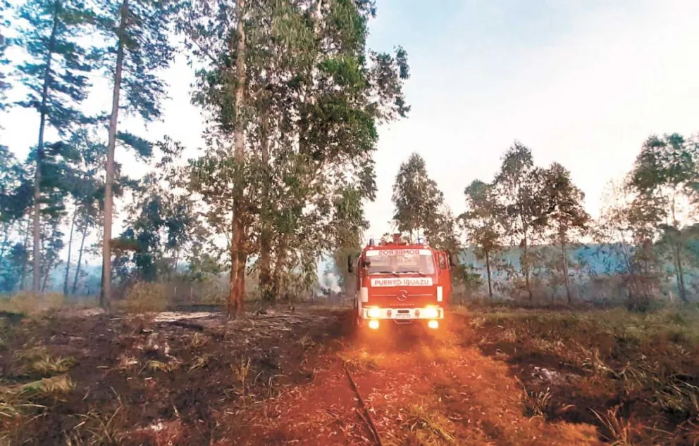 Tras doce horas, bomberos controlan el fuego en Mado