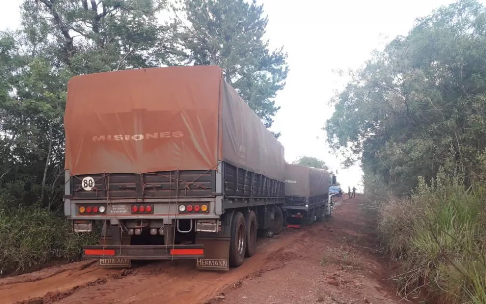 Secuestran camiones con carga de soja por evadir los controles de Rentas 