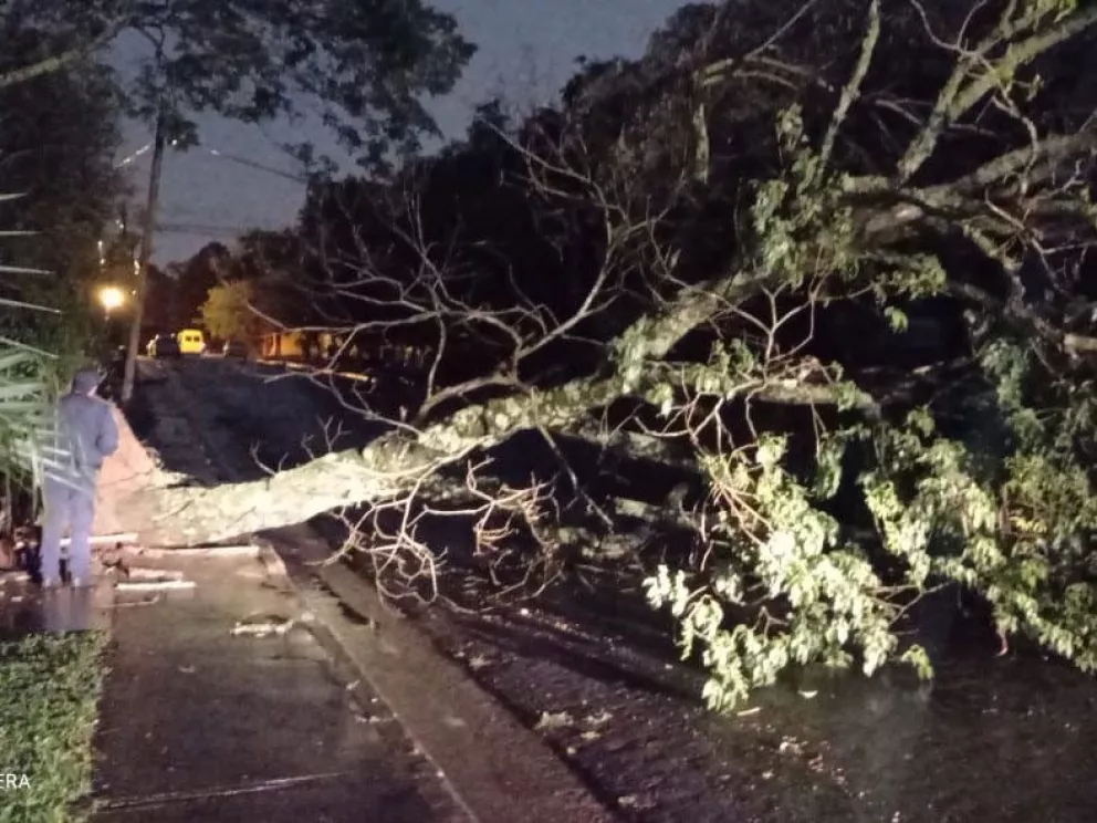 La tormenta también dejó daños en varias localidades de Misiones
