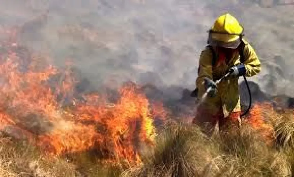Continúan activos los focos de incendios en Jujuy, Neuquén y Mendoza