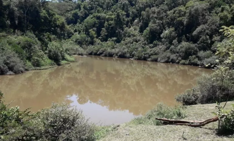 Hallaron el cuerpo del joven que estaba siendo buscado en aguas del arroyo El Soberbio