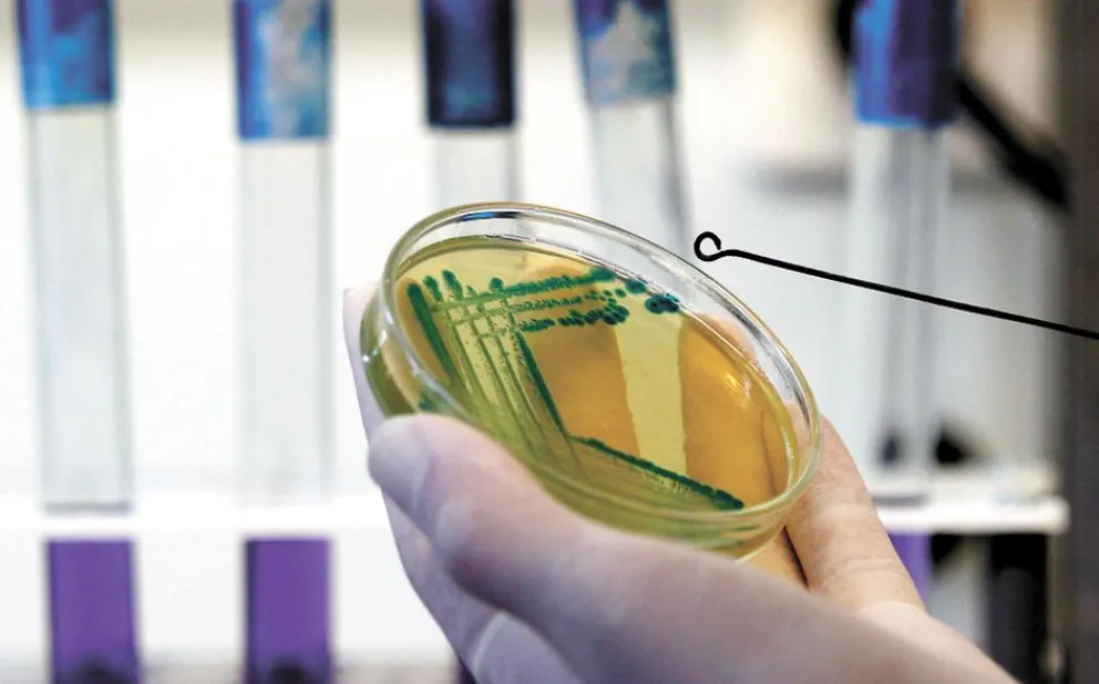 Avance contra las bacterias