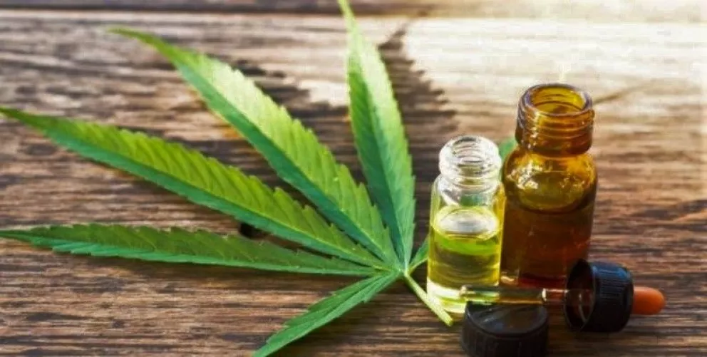 Autorizan a Misiones el cultivo de cannabis medicinal 