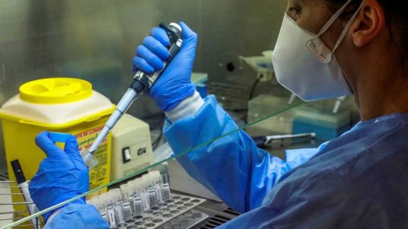 “Las mutaciones en virus son comunes para mantener la contagiosidad” “Las mutaciones en virus son comunes para mantener la contagiosidad”