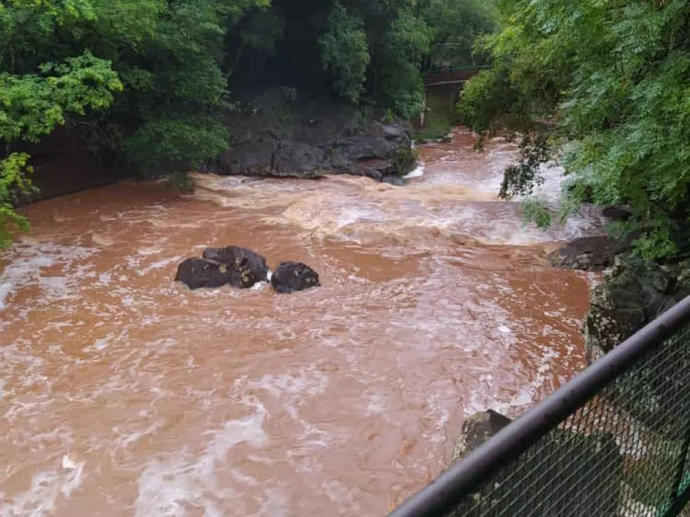 Las lluvias trajeron alivio a la emergencia hídrica en Capioví 