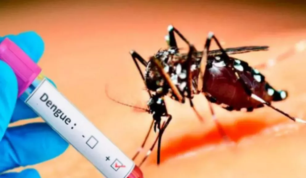 Vacuna contra el dengue evita el 83% de las internaciones en estudio Fase III