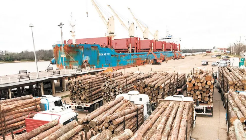 Madereros advierten que exportar rollizos afecta a la economía y el ambiente