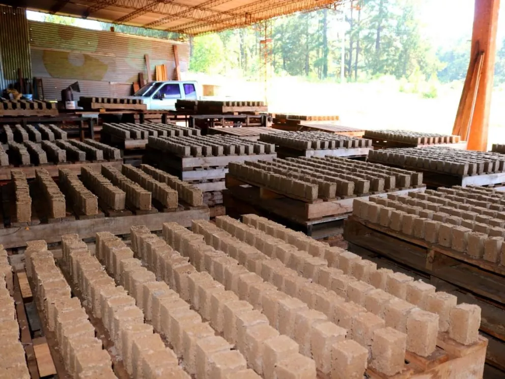 Eldorado: Elabora briquetas "para generar calor y energía limpia"