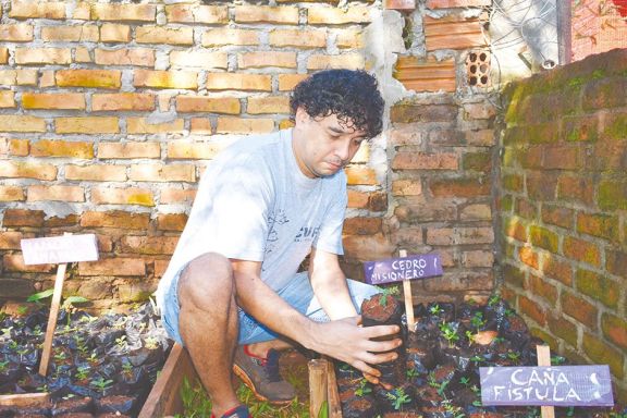 Apuesta voluntaria a favor de la conservación de plantas nativas Apuesta voluntaria a favor de la conservación de plantas nativas