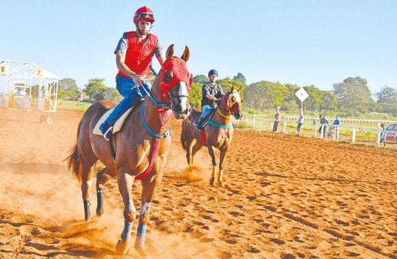 Los caballos vuelven al hipódromo tras un año Los caballos vuelven al hipódromo tras un año