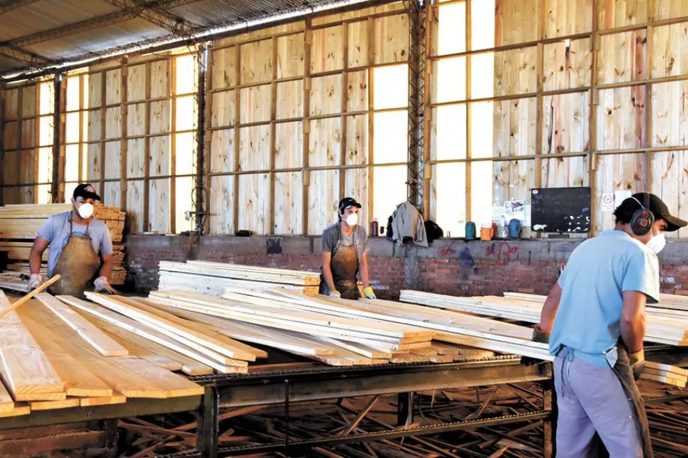 Crece la polémica por exportación de rollos de madera