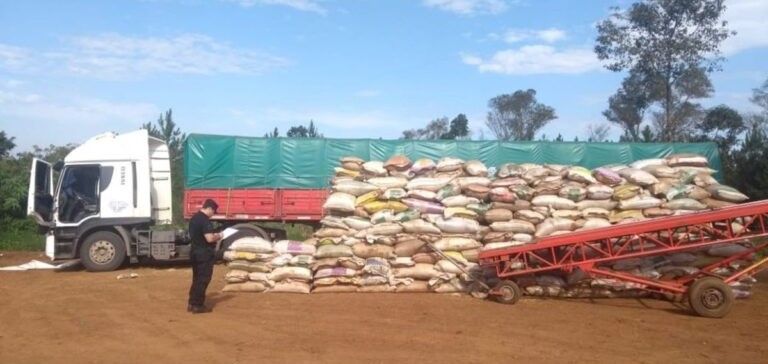 Contrabando de soja: hay unos 30 pasos clandestinos en la costa del Uruguay