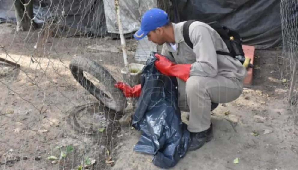 Reportan los primeros dos casos importados de dengue en Jujuy