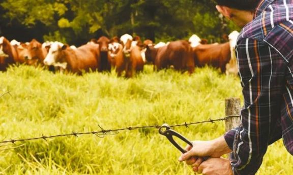 La Farm manifestó preocupación por el aumento de delitos rurales