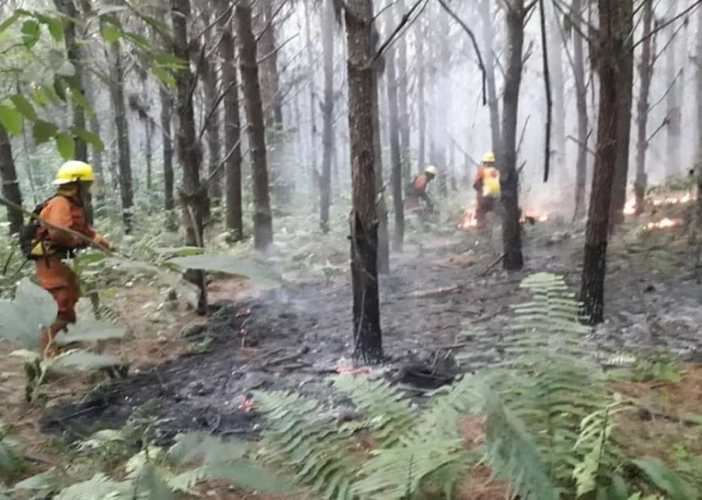 Bomberos Voluntarios de Puerto Libertad sofocaron nuevos incendios forestales