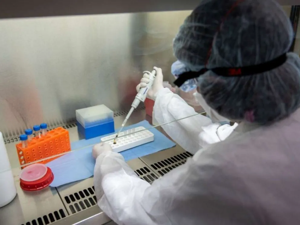 Pandemia 