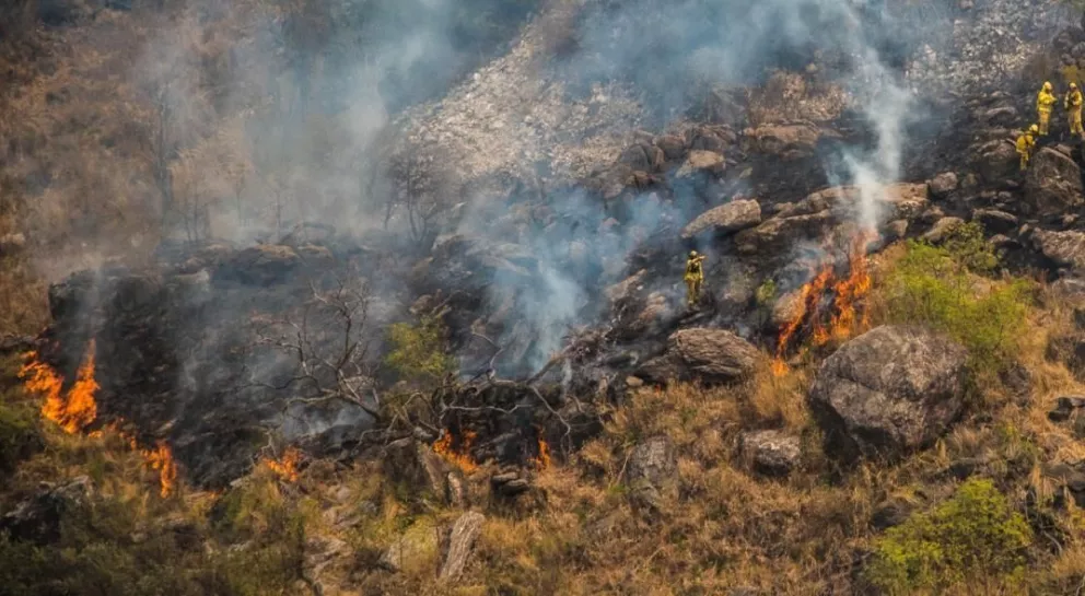 Continúan activos los focos de incendios forestales en Río Negro, Chubut y Santa Cruz