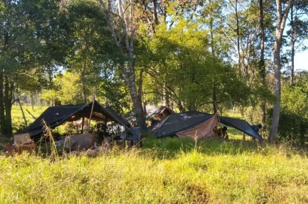 Operativos de fiscalización: detectan campamento en Santa Rita
