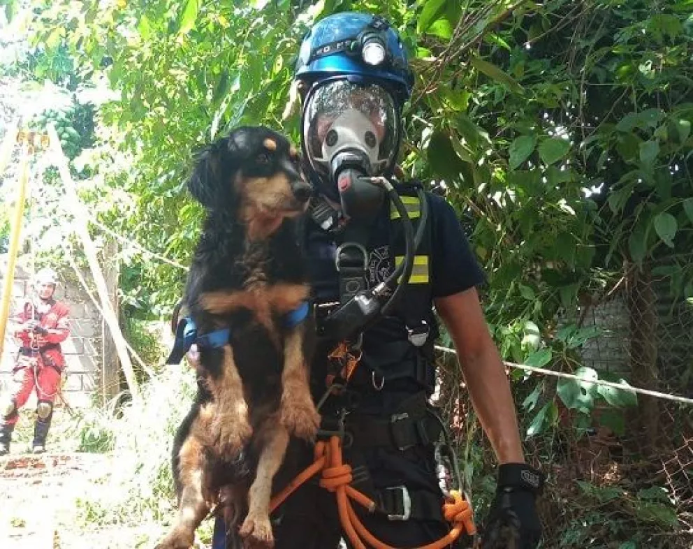 Bomberos de Iguazú rescataron a un perro de un pozo de 15 metros