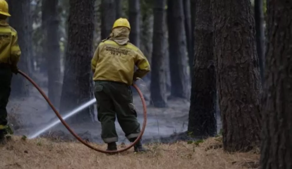 Brigadistas continúan combatiendo incendios forestales en Río Negro y Chubut