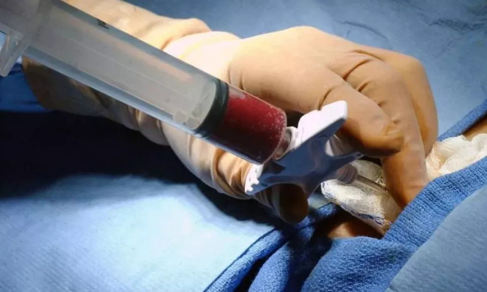 Realizaron 27 trasplantes de médula en el Madariaga