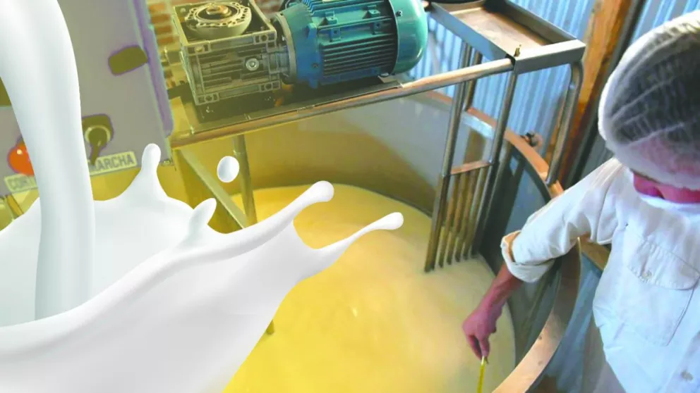 Enero muestra merma del 11% en producción láctea del país
