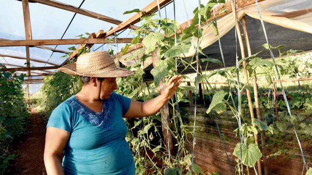 Poner en valor el trabajo  de la mujer rural para alentar su desarrollo