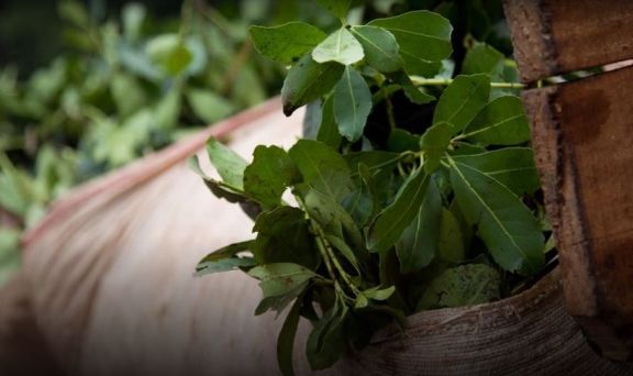 Productores descontentos por el precio laudado por Nacin