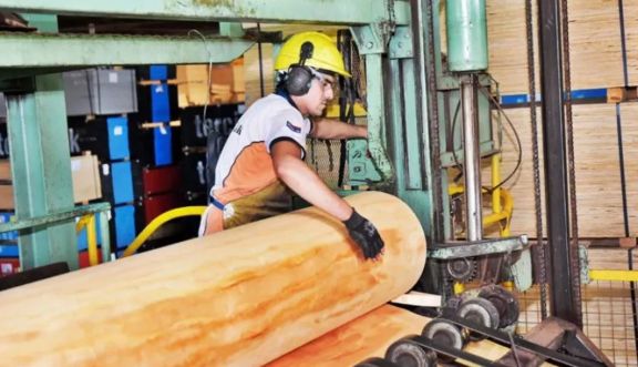 La industria maderera podra atraer inversiones internacionales millonarias