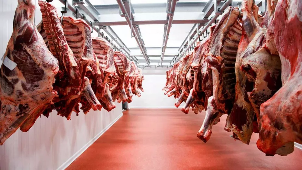 Suspenden por 30 días las exportaciones de carne vacuna