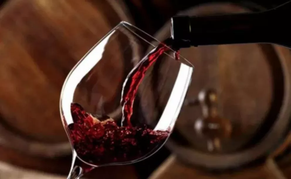 Desarrollan bacterias para reducir la acidez y mejorar el aroma de los vinos tintos