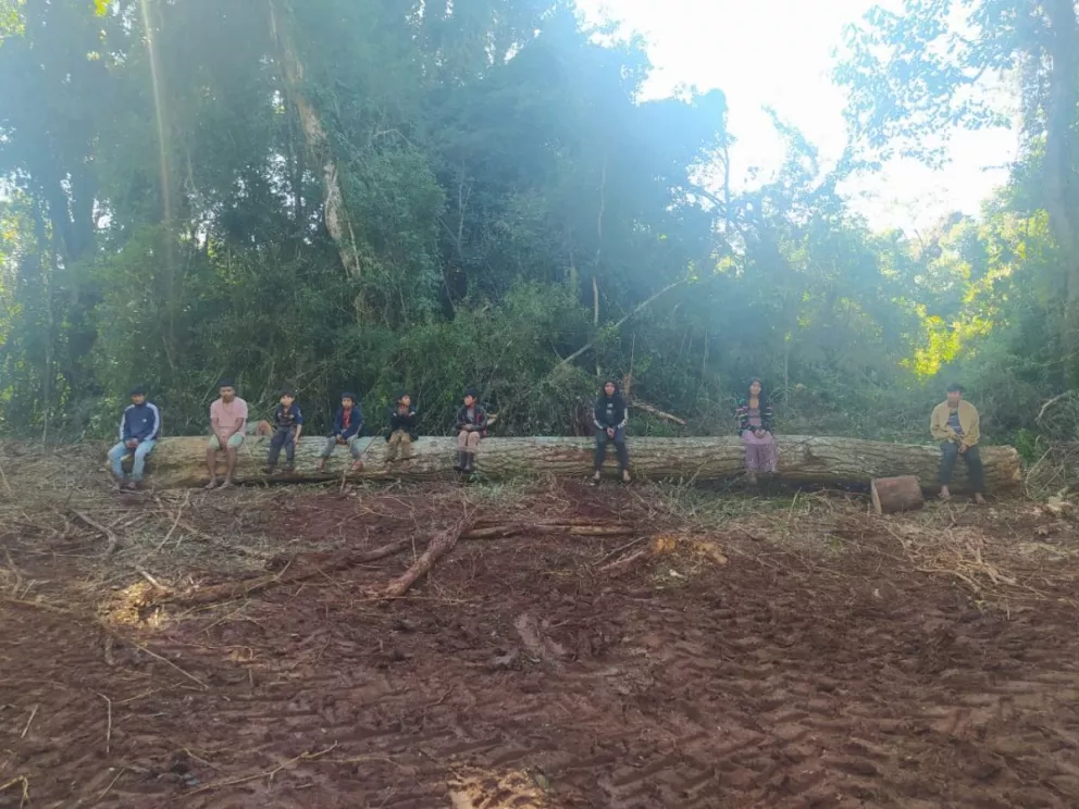 Comunidad Ka’a Kupe denuncia tala de más de 50 árboles 