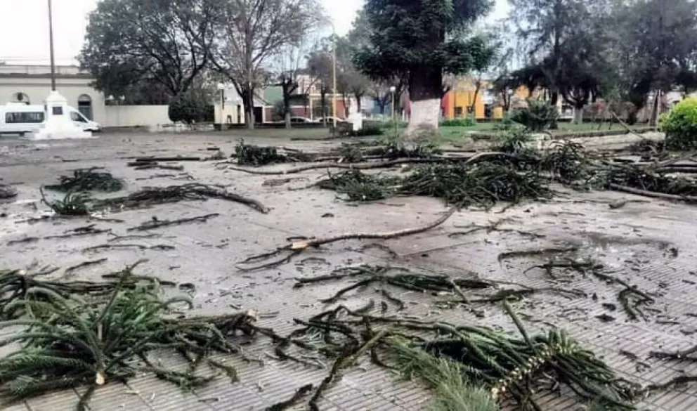 Fuerte temporal causó destrozos en la localidad correntina de Sauce