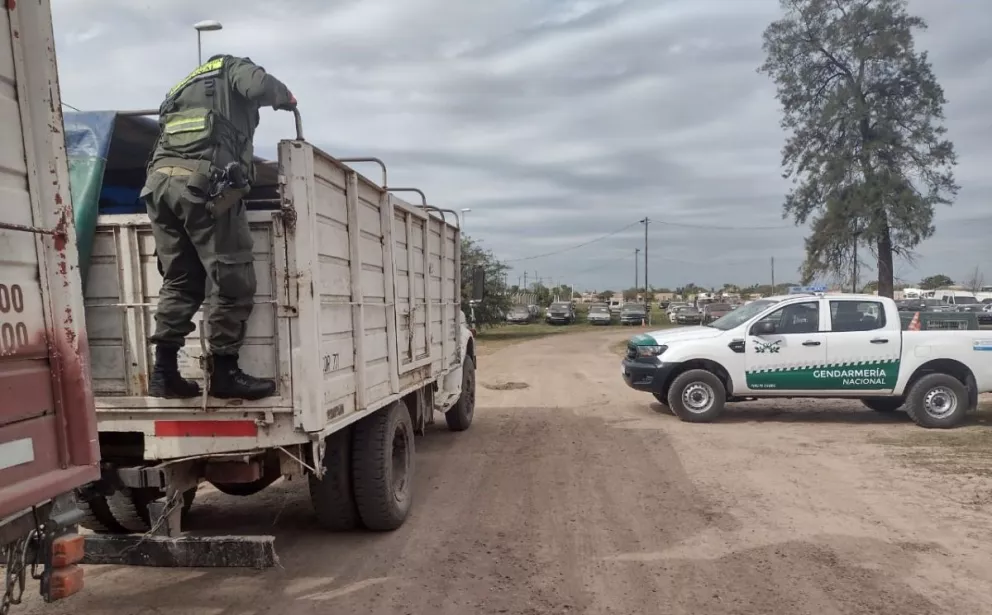 Decomisan toneladas de granos de soja en Corrientes, con rumbo a El Soberbio